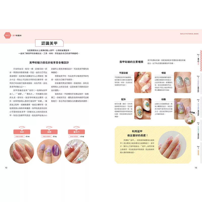 Nefis Tırnak Sanatı Tasarımlar - Nail Art Design incelemesi ve fiyatı